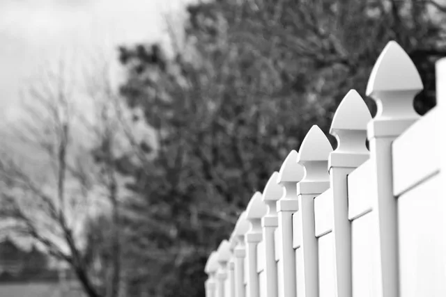 fence painters
